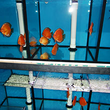 Gallerie - H²O Design inc.