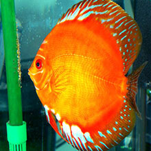 Gallerie - H²O Design inc.